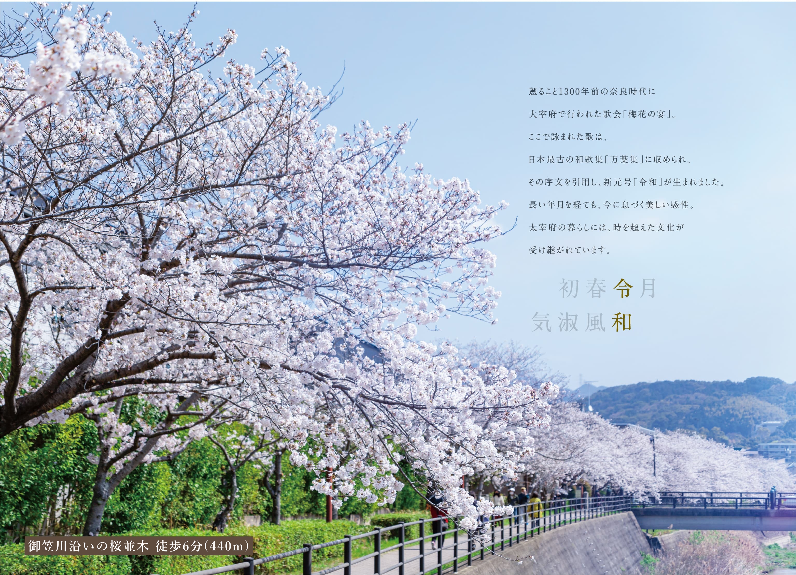 初春令月 気淑風和画像