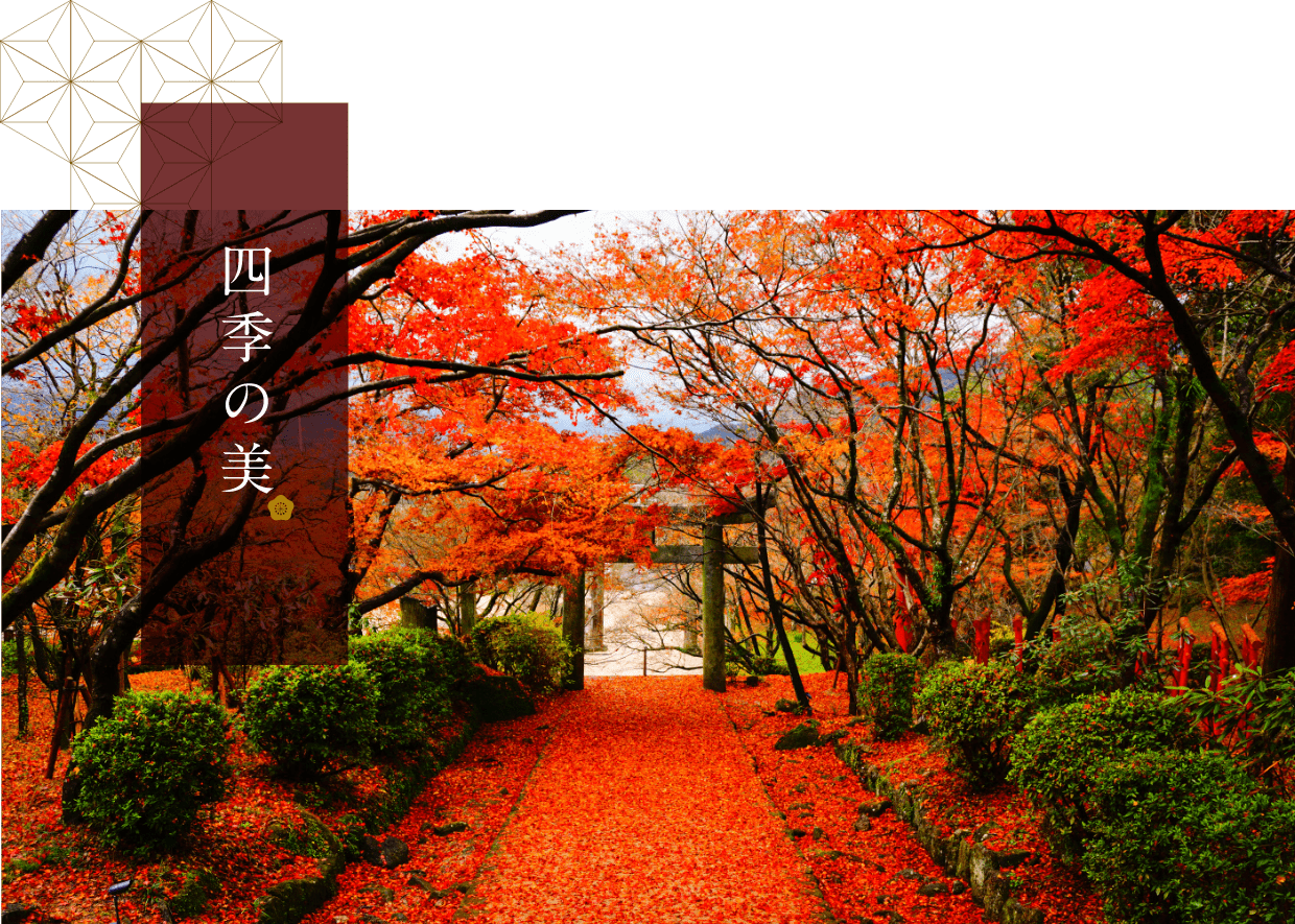 竈門神社の紅葉